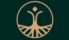 Site Icon